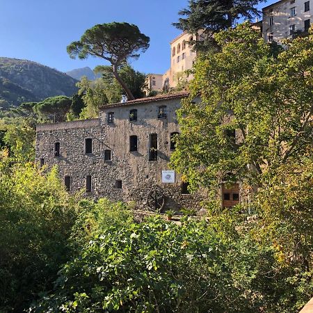 Chambres d'hôtes - Mulino nannaré Ville-di-Paraso Exterior foto