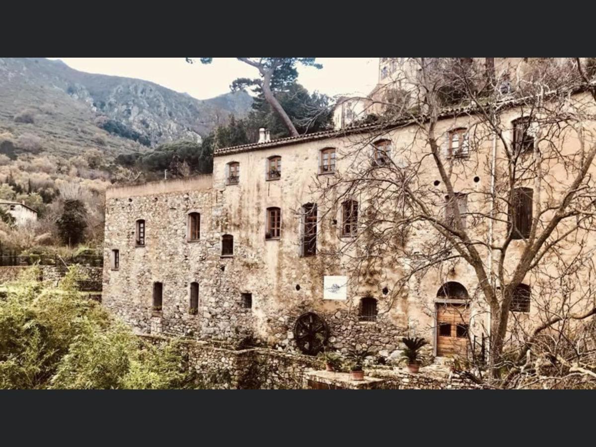 Chambres d'hôtes - Mulino nannaré Ville-di-Paraso Exterior foto